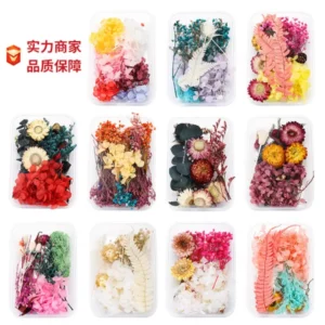 Preserve Nature's Beauty: The Ultimate Dried Flower Crafting Kit
