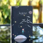 Little Prince Series Diary Illustration Page Diary