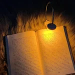 Book Reading Clip Light