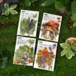 Ancient Forest Green Wild Pastoral Series Retro Mushroom Plant Hand Account Sticker